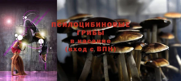 кокаин перу Бородино