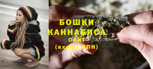 стафф Бронницы