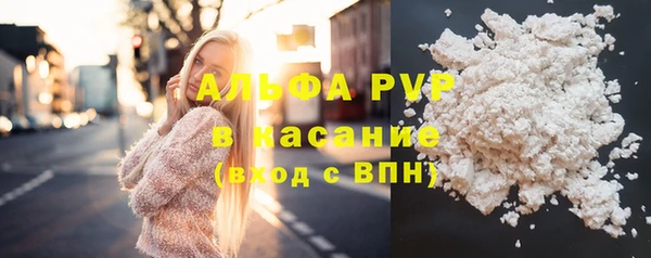 стафф Бронницы