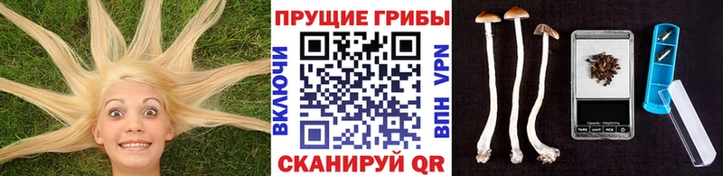 цены наркотик  Магнитогорск  Псилоцибиновые грибы ЛСД 